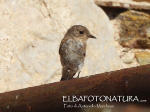 La Foto del Giorno (12 ago.)