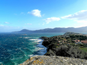 La Foto del Giorno (29 nov.)