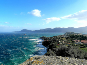 La Foto del Giorno (29 nov.)