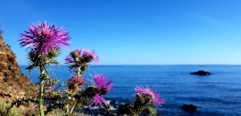 La Foto del Giorno (15 mag.)