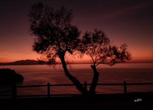 La Foto del Giorno (30 dic.)