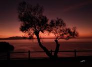 La Foto del Giorno (30 dic.)