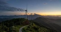 Terna: un'intesa con le associazioni ambientaliste per strutture elettriche sempre più sostenibili