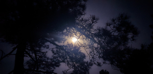 La Foto del Giorno (29 dic.)