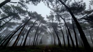 La Foto del Giorno (16 gen.)