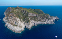 Gorgona: secondo Fratelli d'Italia può essere una preziosa risorsa turistica