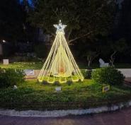 L'Albero di Natale AVIS come ringraziamento ai donatori