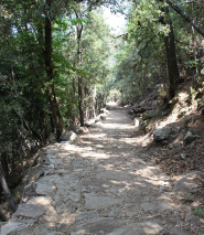 Completata l'opera di restauro e risanamento conservativo dell'antica via di Rimercoio a Marciana