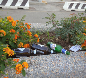 Portoferraio: Vasi con fiori bellissimi, scambiati per il &quot;bidone dell&#039;indifferenziata&quot;