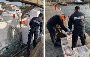 Pesca a strascico nell&#039;Arcipelago: Confiscato il pescato e sanzione per oltre 2000 Euro
