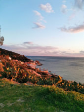 La Foto del Giorno (15 apr.)