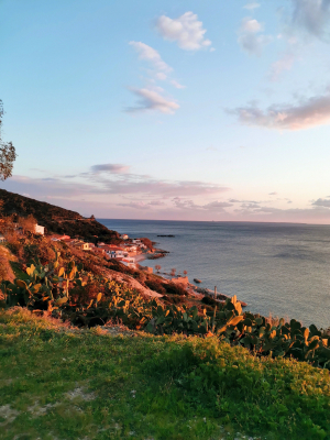 La Foto del Giorno (15 apr.)