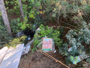 Fotocronaca: ennesima discarica nella macchia sulla via di Lacona