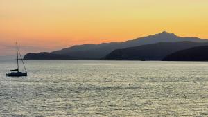 La Foto del Giorno (19 lug.)