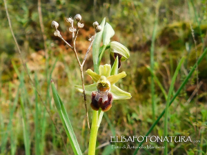 La Foto del Giorno (21 mar.)