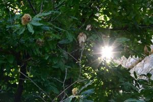 La Foto del Giorno (25 ott.)