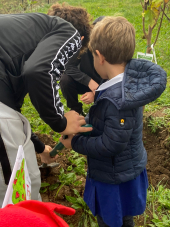 Festa degli Alberi a Casa del Duca, tappa del progetto 'Cittadini custodi della cultura contadina elbana'