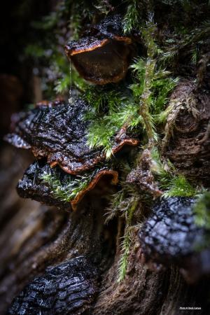 La Foto del Giorno (22 nov.)