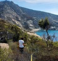 Rinnovato l’accordo scientifico con l’Università di Firenze per monitorare la vegetazione delle isole minori dell’Arcipelago Toscano