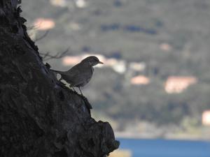 La Foto del Giorno (21 apr.)