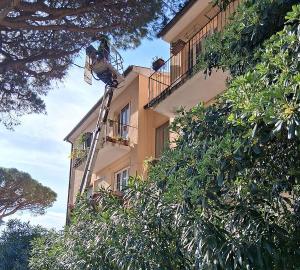 Due interventi sulle alberature a Portoferraio per i danni causati dal vento