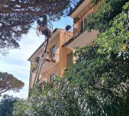 Due interventi sulle alberature a Portoferraio per i danni causati dal vento