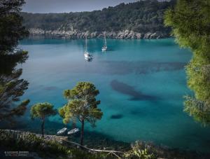 La Foto del Giorno (25 apr.)