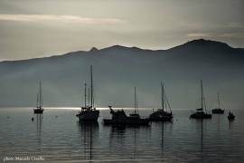 La Foto del Giorno (15 apr.)