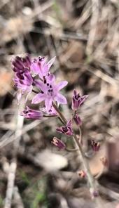 La Foto del Giorno (6 ott.)