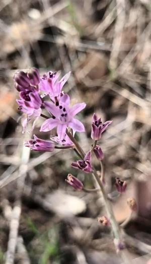 La Foto del Giorno (6 ott.)