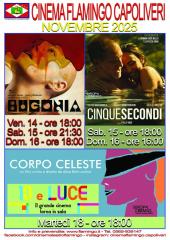 Programmazione del Cinema Flamingo
