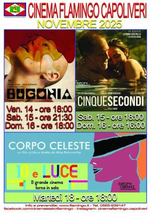 Programmazione del Cinema Flamingo