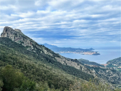 La Foto del Giorno (1° gen.)