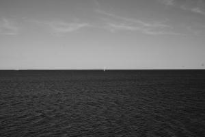 La Foto del Giorno (26 mag.)