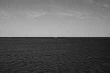 La Foto del Giorno (26 mag.)