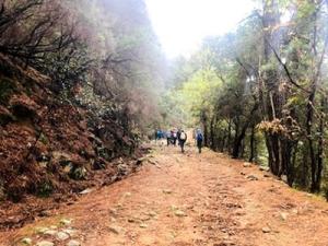 Settimana delle Castagne 2025 - Tutte le passeggiate e le escursioni