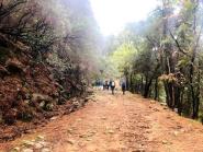 Settimana delle Castagne 2025 - Tutte le passeggiate e le escursioni