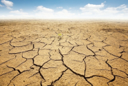 Di fronte alla catastrofe ecologica in atto, siamo uomini o alienati?