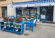 Gli appuntamenti di questa settimana a MardiLibri