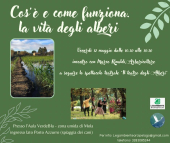 A Mola un ricco pomeriggio dedicato al tema degli alberi