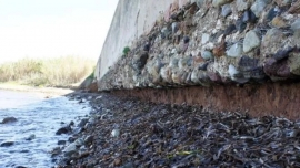 Ambiente, costituita task force permanente per combattere l’erosione costiera