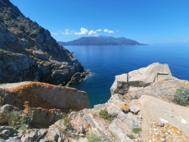 La Foto del Giorno (22 mag.)