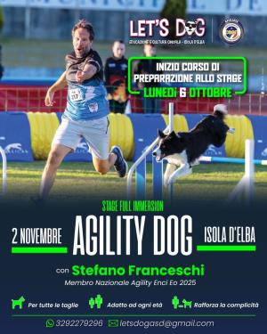Corso di Agility Dog in partenza con Let’s Dog asd