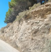 A Sciambere:  Asfaltiamo una strada per salvare un pianeta !