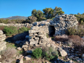 La Foto del Giorno (26 nov.)