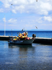 La Foto del Giorno (17 apr.)