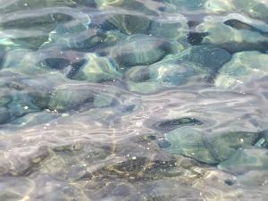 Natanti scaricano acque inquinanti davanti alla costa di Patresi.