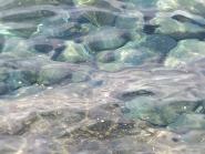 Natanti scaricano acque inquinanti davanti alla costa di Patresi.