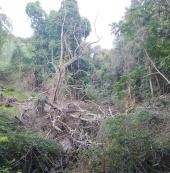 Nisporto in stato di abbandono: una petizione al Comune riese che è anche formale protesta