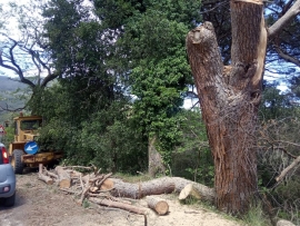 Addio all’ennesimo Gigante Resistente